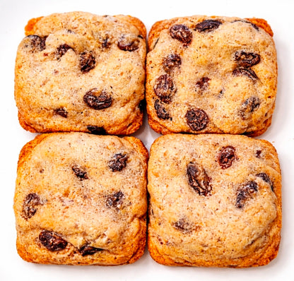 Oatmeal Raisin Squares